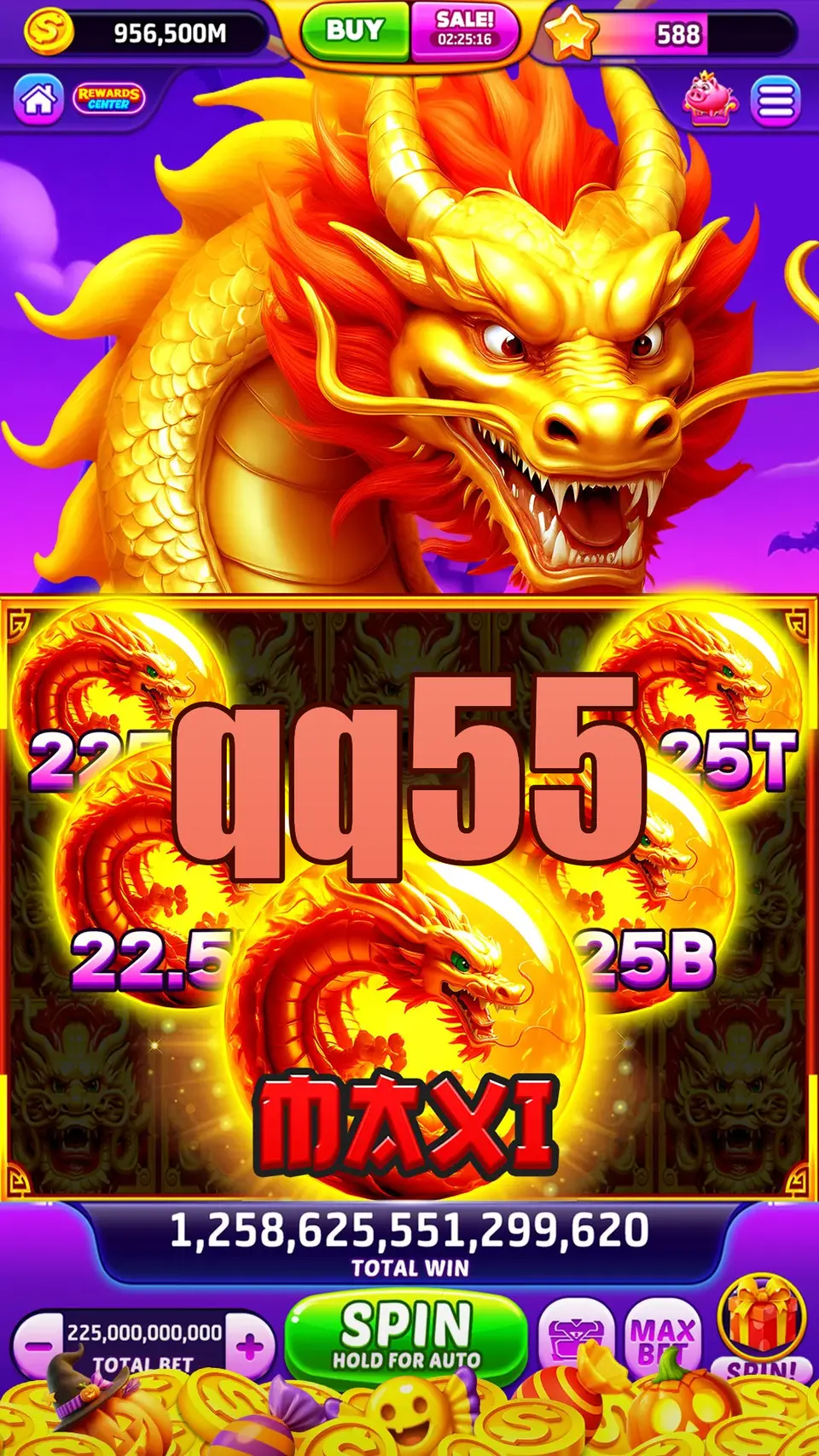 qq55 Login